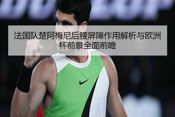 法国队楚阿梅尼后腰屏障作用解析与欧洲杯前景全面前瞻